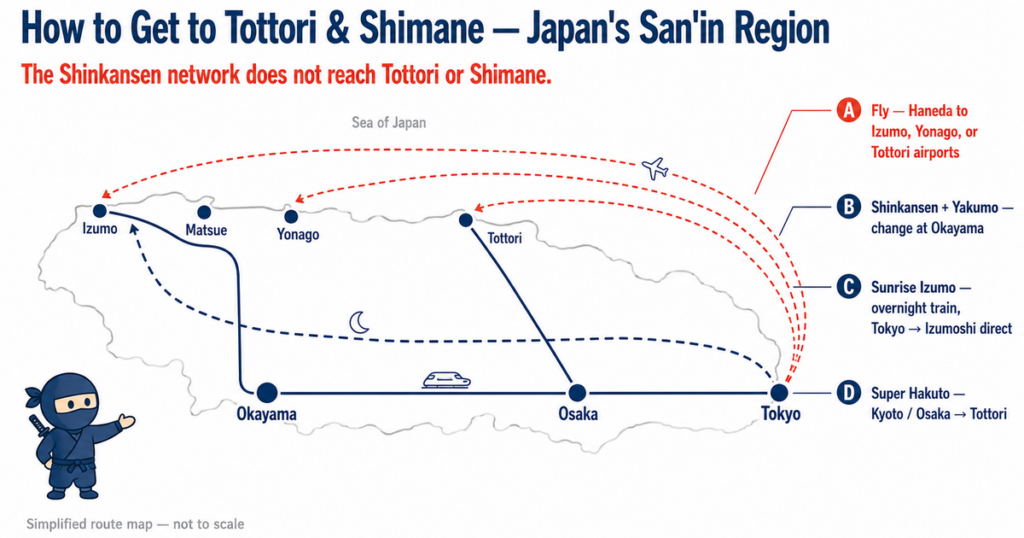 Simplified route map showing how to reach Japan's San'in region: direct flights from Haneda to Izumo, Yonago, and Tottori airports, the Shinkansen-plus-Yakumo rail route via Okayama, the Sunrise Izumo overnight train from Tokyo, and the Super Hakuto from Kyoto and Osaka to Tottori.