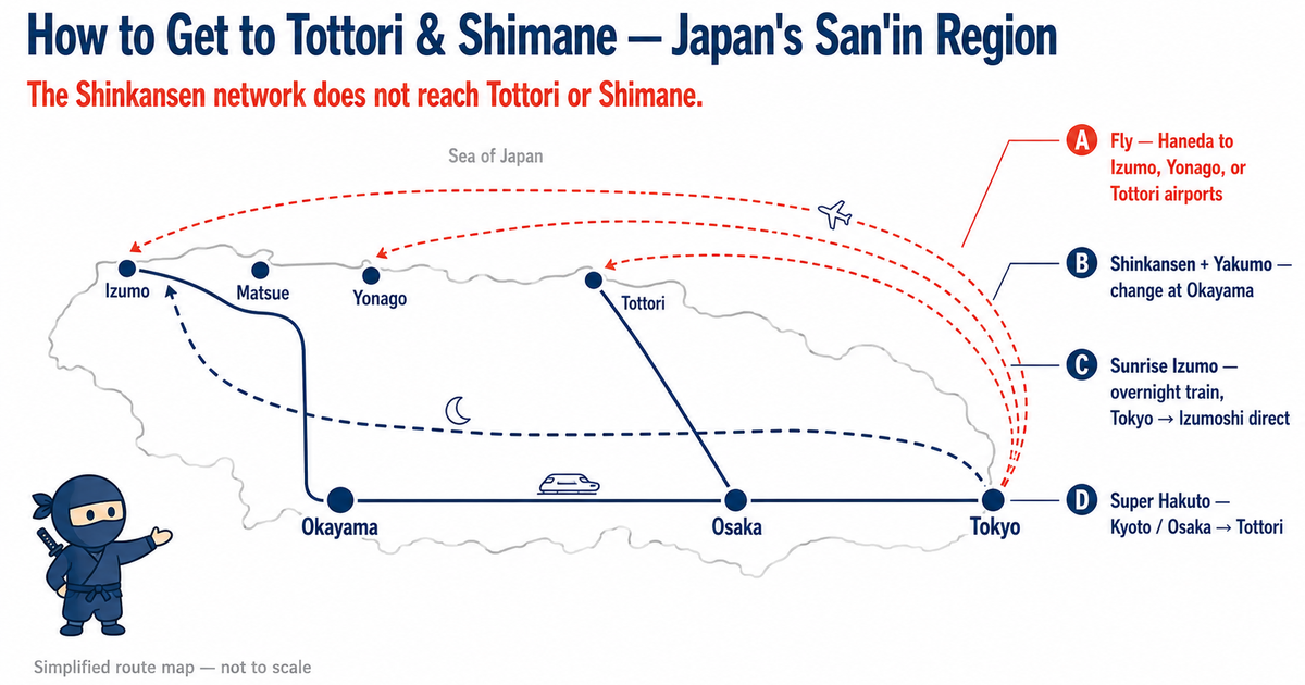 Simplified route map showing how to reach Japan's San'in region: direct flights from Haneda to Izumo, Yonago, and Tottori airports, the Shinkansen-plus-Yakumo rail route via Okayama, the Sunrise Izumo overnight train from Tokyo, and the Super Hakuto from Kyoto and Osaka to Tottori.